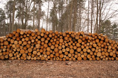 Wood log pile background clipart