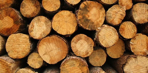 Gramada de lemn fundal — Fotografie, imagine de stoc