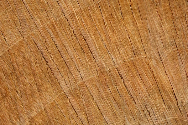 stock image Wood Texture