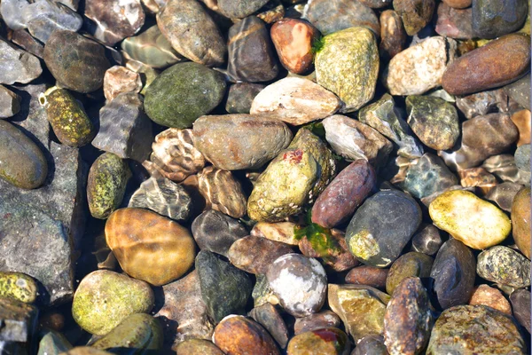 Stenar under havet vatten — Stockfoto