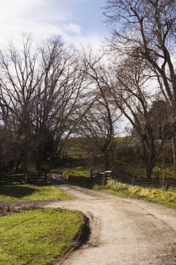 Farm Road