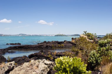 Auckland from Rangitoto Island clipart