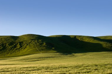 Hawkes Bay Hills 02