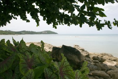 Koh Samui 03