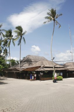 Koh samui gidiş