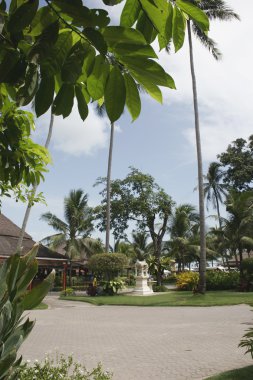 Koh Samui Airport