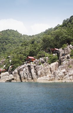 Koh Tao kıyı şeridi 01