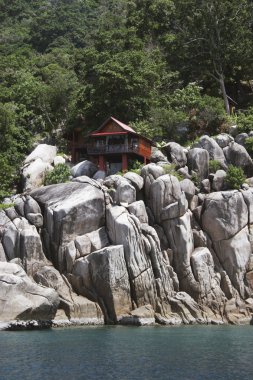 Koh tao kıyı şeridi 02