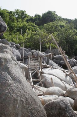 Koh Tao kıyı şeridi 04