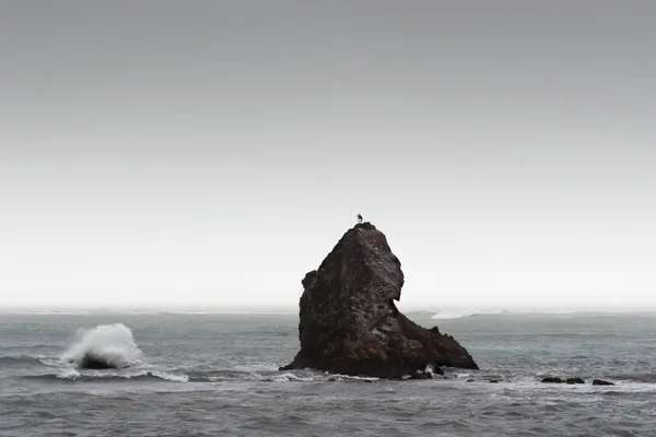Rüzgârlı kaya — Stok fotoğraf