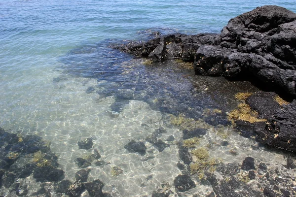 Golfo de Hauraki — Foto de Stock