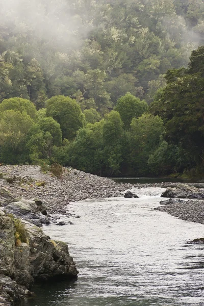 stock image Pelorus River