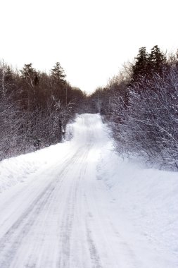 kış yolu