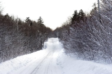 kış yolu