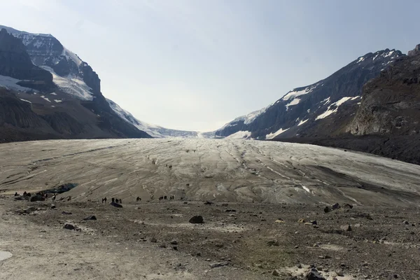 stock image Receding Glacier