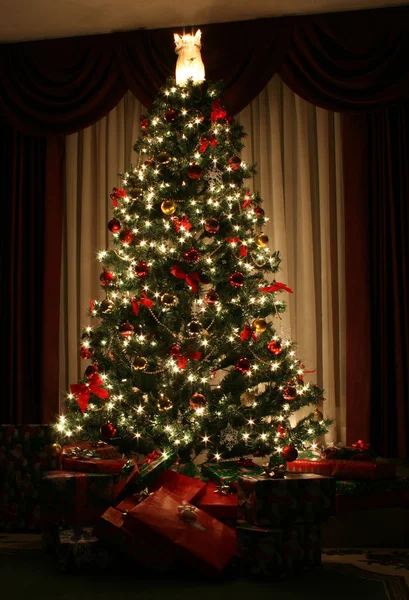 Різдвяна ялинка Стокове Фото