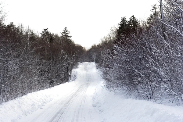 겨울 도로 스톡 사진