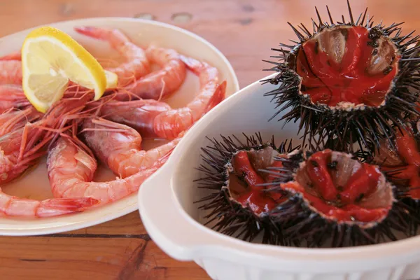 stock image Sea urchins & shrimps