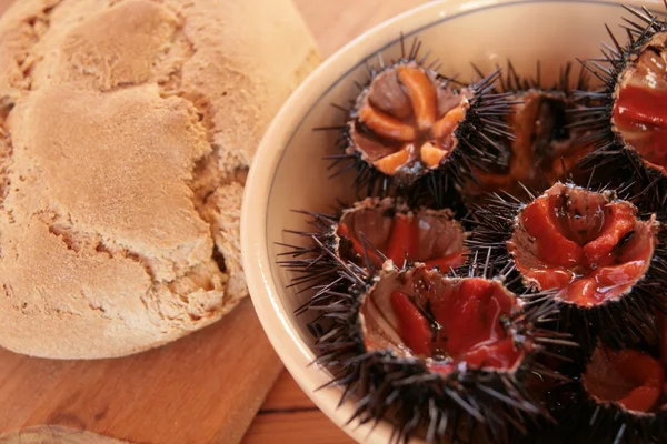 Nyers tengeri sünök, házi kenyérrel — Stock Fotó