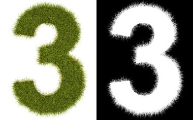 Number 3 of the grass with alpha channel clipart