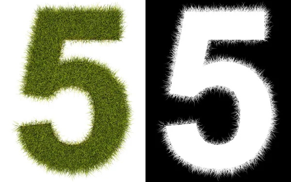 Number 5 of the grass with alpha channel — Stock Photo, Image