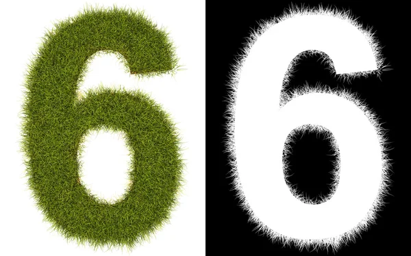 Number 6 of the grass with alpha channel — Stock Photo, Image