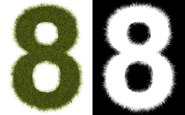 Numărul 8 din iarbă cu canal alfa — Fotografie, imagine de stoc