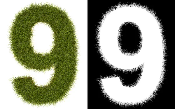 Number 9 of the grass with alpha channel — Stock Photo, Image