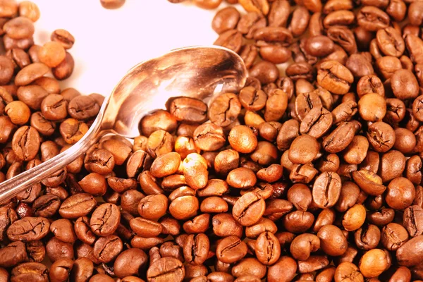 Kaffeebohnen — Stock Photo, Image