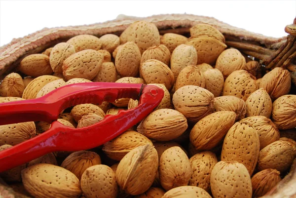 Almonds and nutcracker — Stock Photo, Image