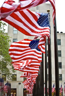 Row of American flags clipart
