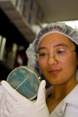 Female scientist picking colonies clipart