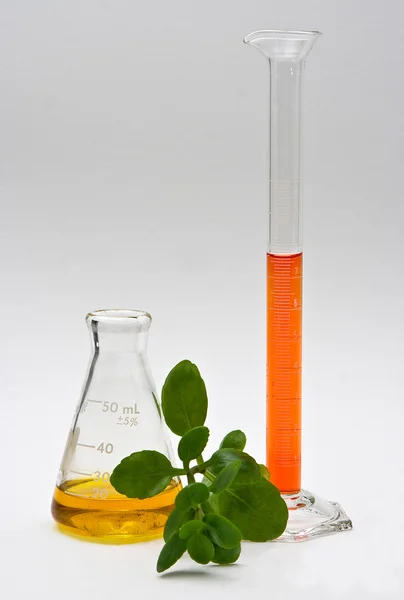 Química natural — Fotografia de Stock