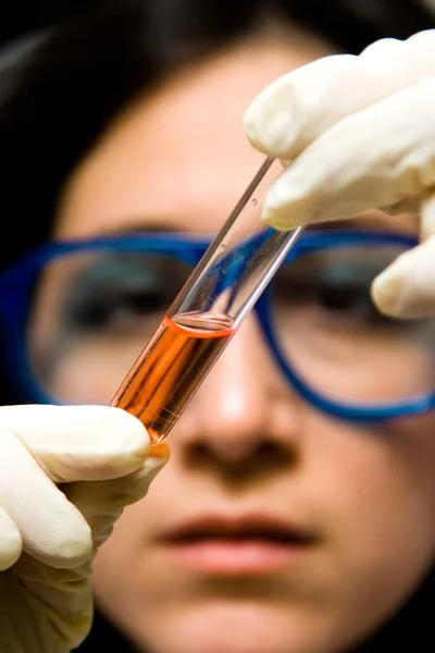 Scientist looking at test tube — Stock Photo, Image