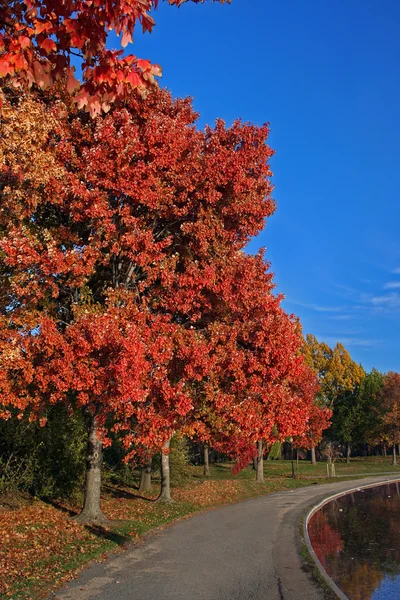 stock image Fall scenery