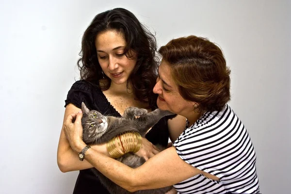 Ladies holding cat — Stock Photo, Image