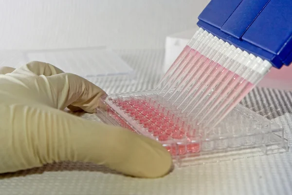 Pipetting experiment — Stock Photo, Image
