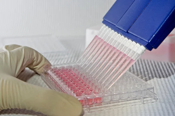 Pipetting experiment — Stock Photo, Image