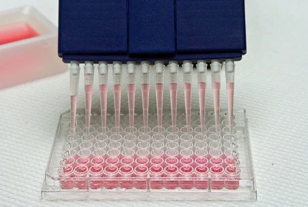 Pipettering experiment — Stockfoto
