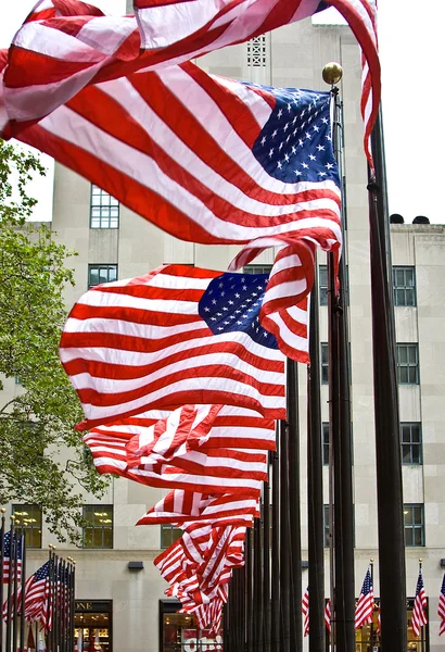 Řada amerických vlajek — Stock fotografie