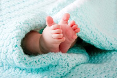 Baby feet in blanket