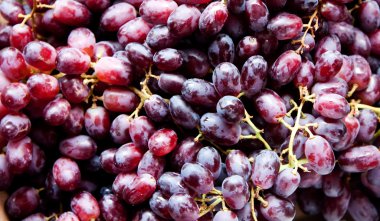 Red grapes clipart