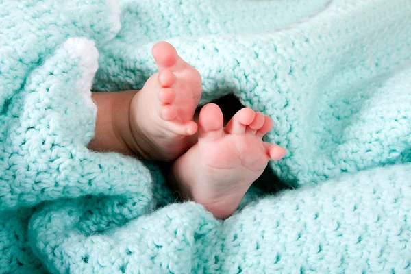 Babyfüße in Decke — Stockfoto