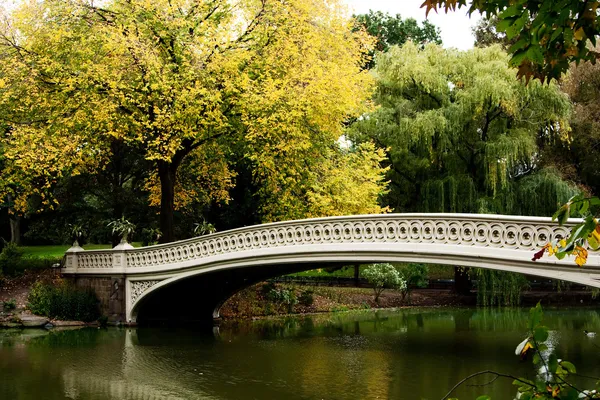 Bridge over lake in fall scenery — Stock Photo, Image