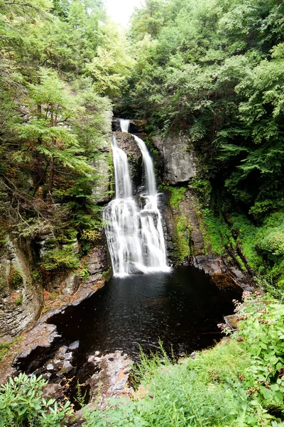 森の滝 — ストック写真