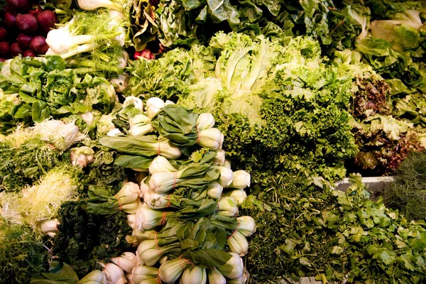 다양 한 녹색 야채 생산 스톡 이미지