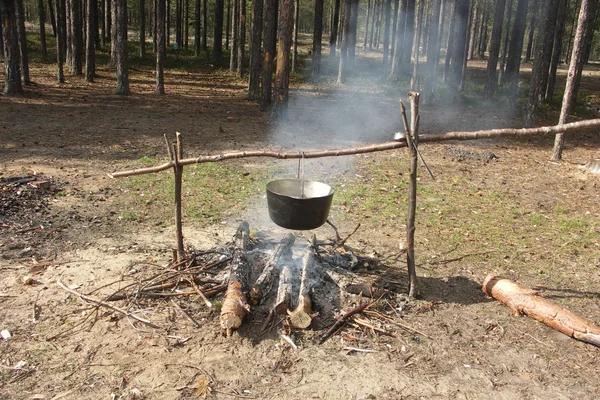 Чайник в огне в весеннем лесу — стоковое фото