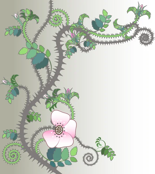 Rose fond décoratif — Image vectorielle
