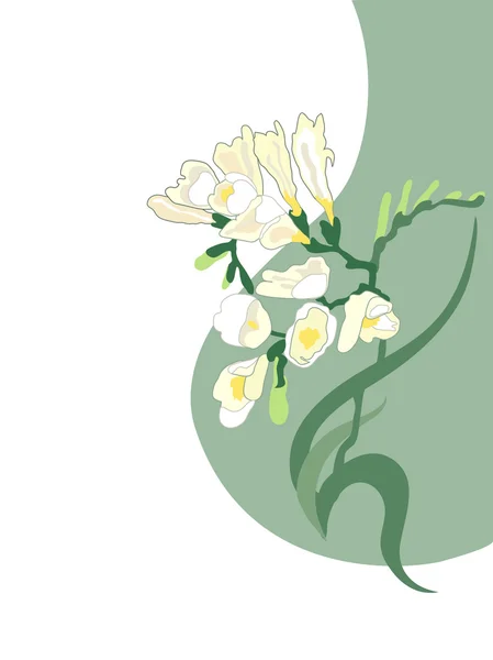 Fiore di primavera — Vettoriale Stock