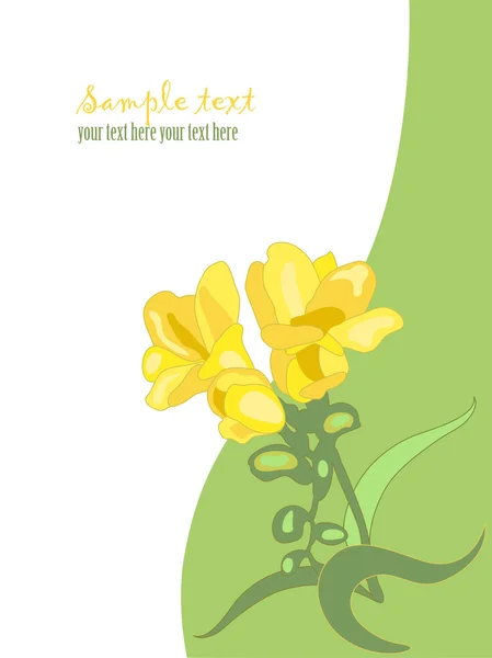Spring flower, freesia — Stockvector